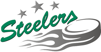 Bietigheim Steelers - Sc Bietigheim-bissingen (400x400), Png Download