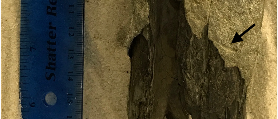 My Paper Describing This And Other Traces On Eastern - Igneous Rock (1199x387), Png Download