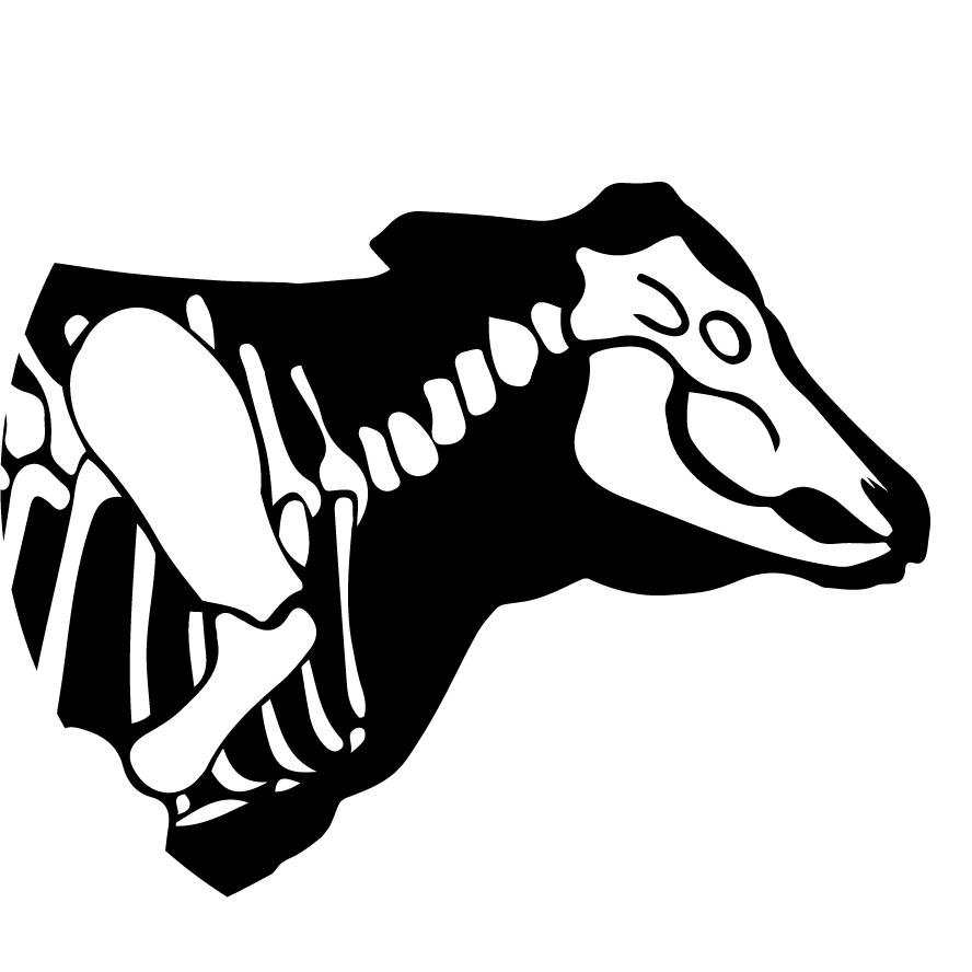 Bbb Insta - Bare Bones Butcher (888x888), Png Download