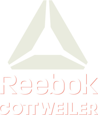 Reebok Aw17 Logoandrewgrune2017 12 23t01 - Reebok Otr Ls Comp M (1920x1080), Png Download