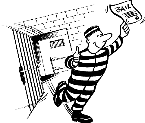 The Bail Process In Virginia - Excessive Bail Shall Not Be Required Nor Excessive (482x433), Png Download