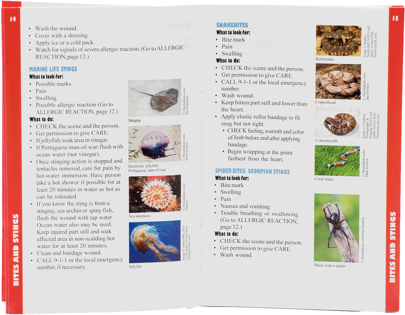 Images - Flyer (2000x2000), Png Download