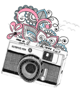 Camara Hipster Png (393x420), Png Download