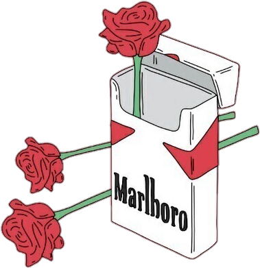 Report Abuse - Marlboro Rose (500x889), Png Download