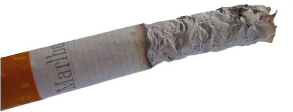 Studio Di Lena - Soft Grunge (600x270), Png Download