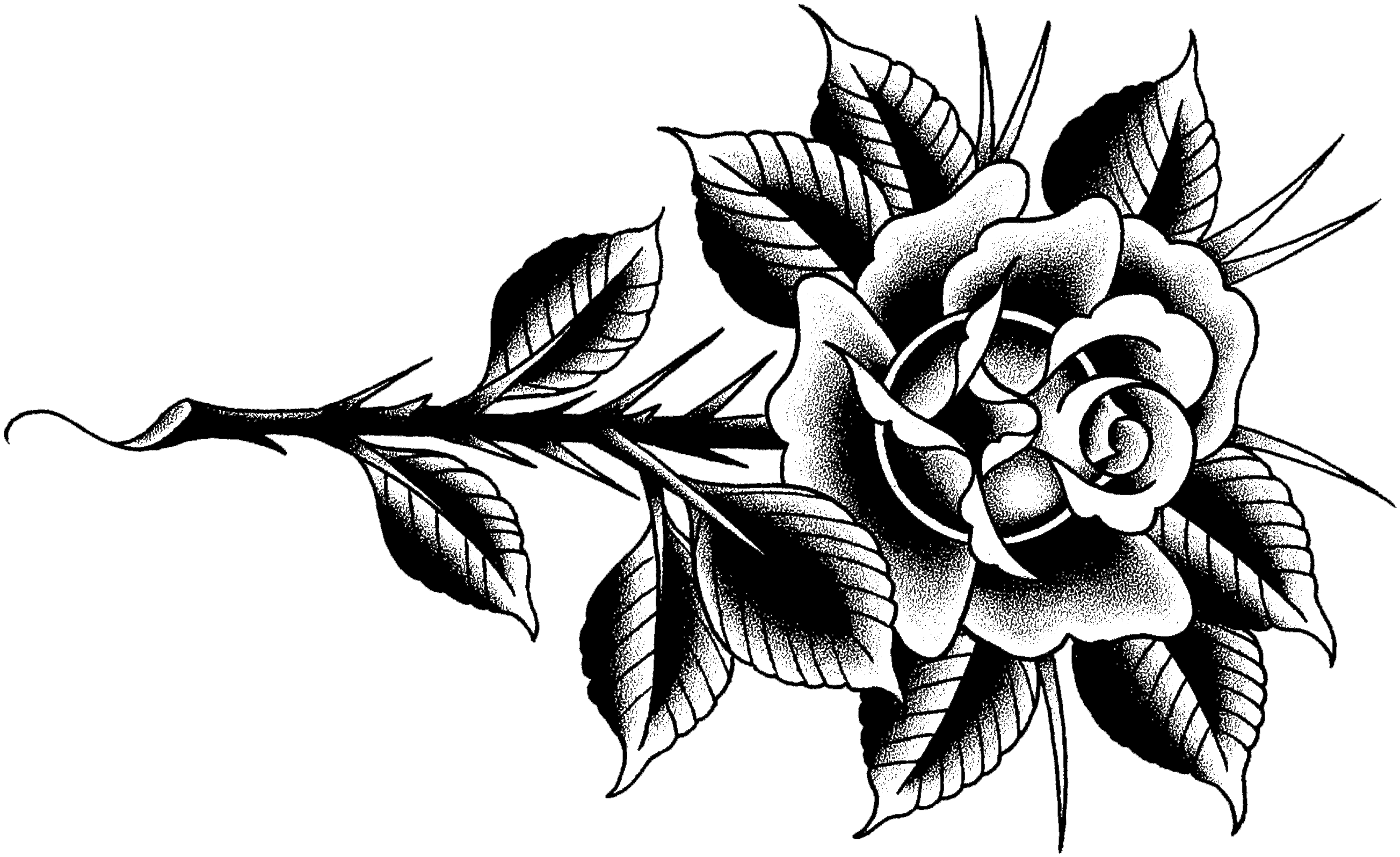 Folk City Tattoo (2685x1647), Png Download