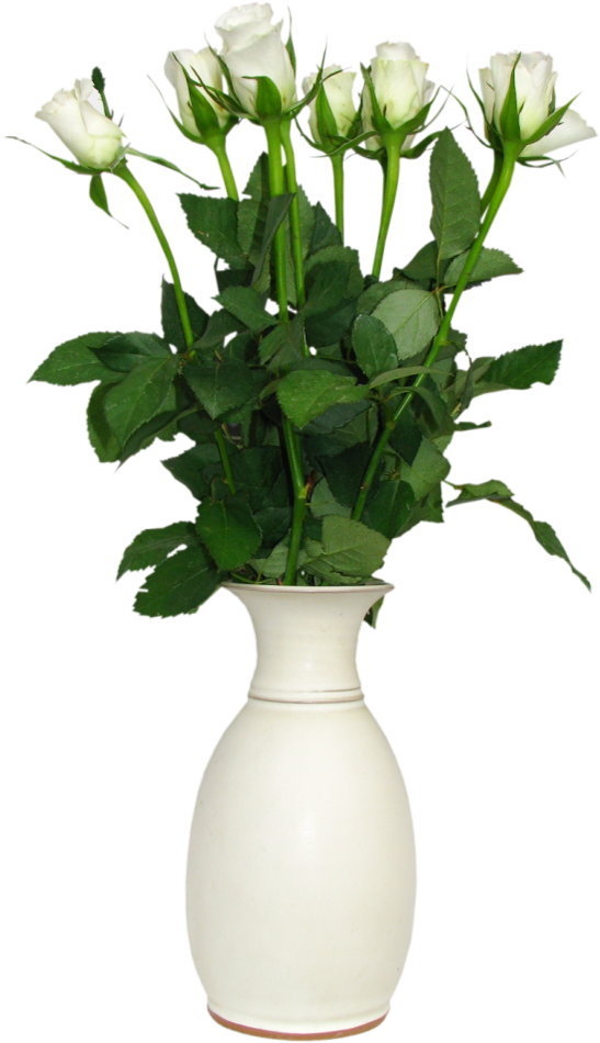 Transparent Flower Vase Png Free Transparent PNG Download PNGkey