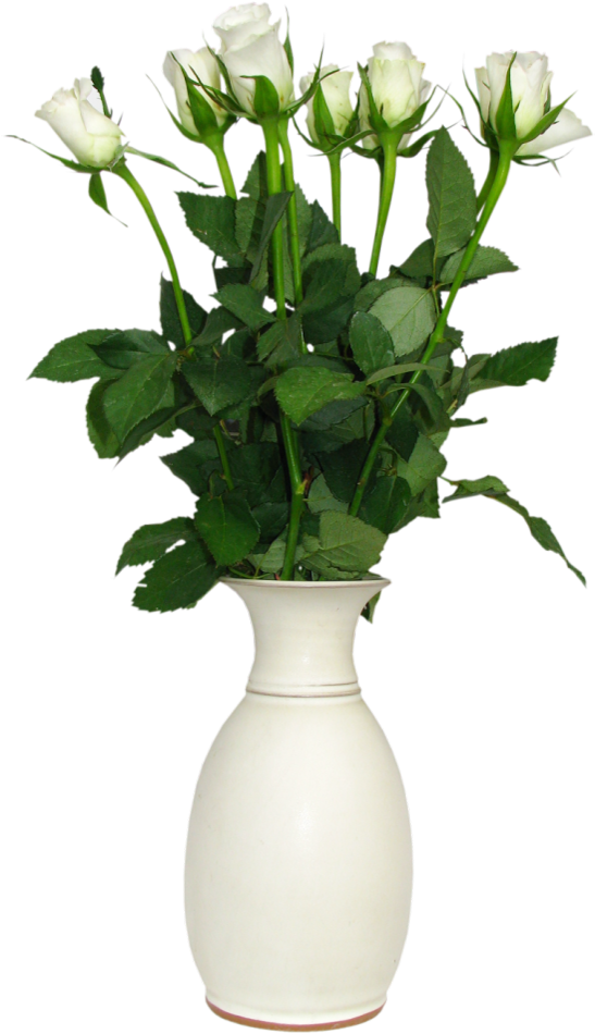 Transparent Flower Vase Png (575x971), Png Download