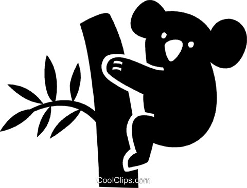 Koala Bear - Use Your Initials To Find Your Name (480x367), Png Download