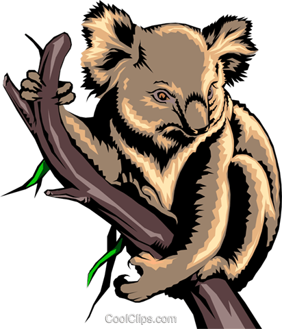 Koala Bear Royalty Free Vector Clip Art Illustration - Koala Bear Clipart Realistic (412x480), Png Download