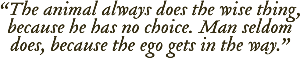 Walter Titles 11 - Can't I Make Money? By Marta Merajver-kurlat (1000x207), Png Download