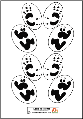 Koala Bear Footprints, Koala, Bear, Clothes Png Image - Koala Footprints (300x424), Png Download