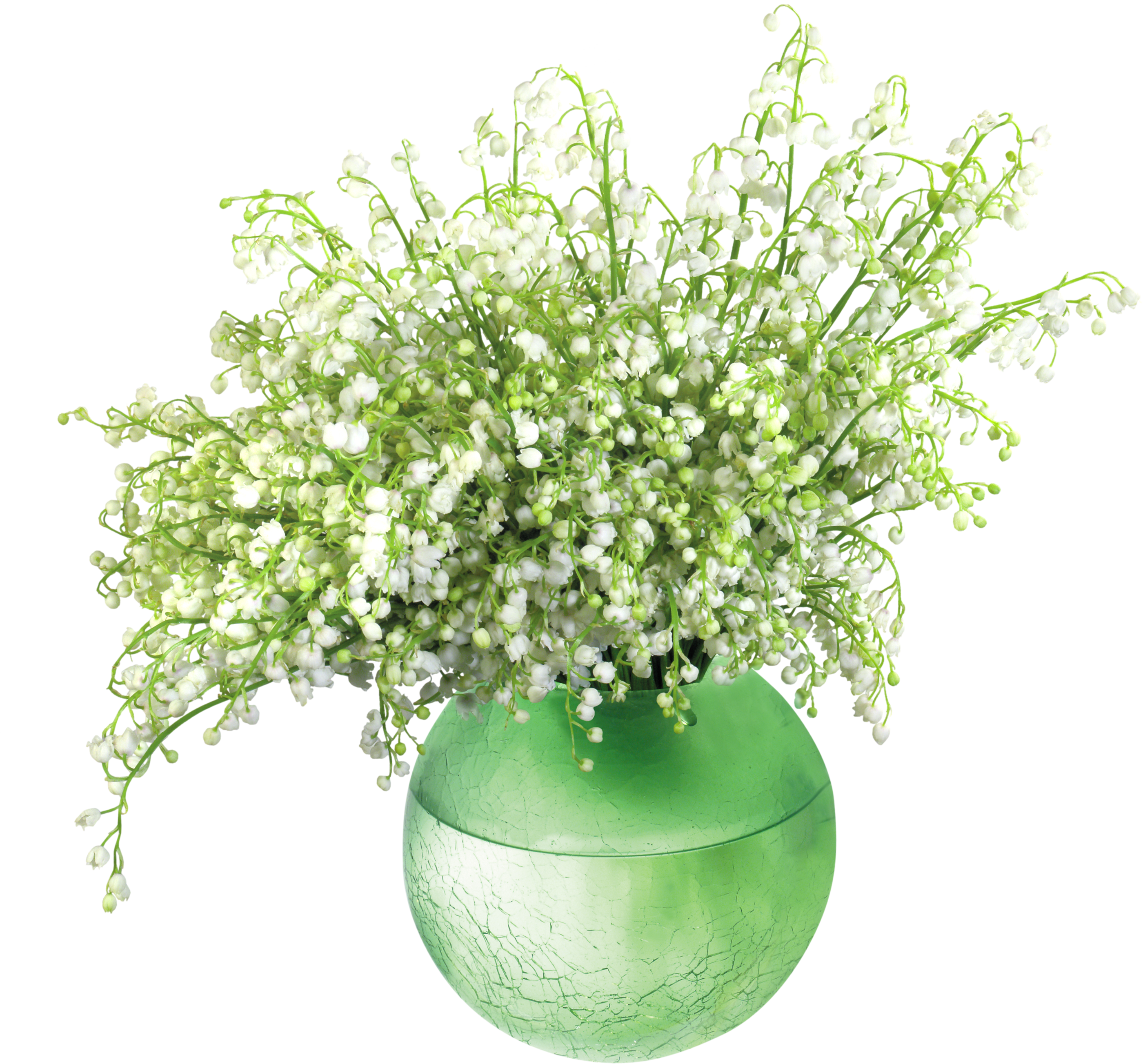 Lily Of The Valleyin Vase Png Clip Art Image - Lily Of The Valley In Vase (2800x2607), Png Download