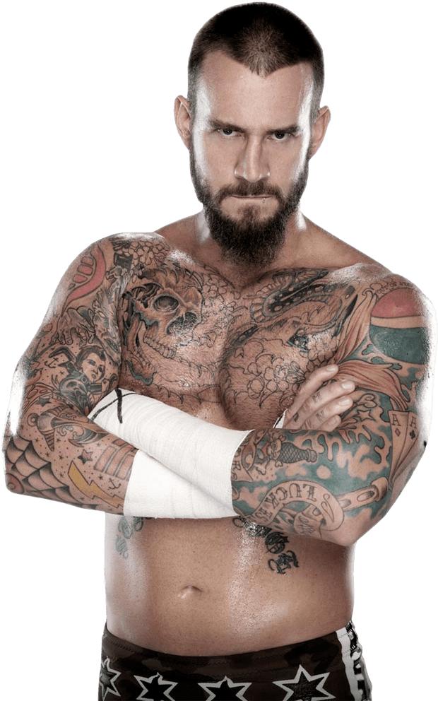 When Fans Have Complaints About The Wwe's Product, - Cm Punk Png (651x992), Png Download