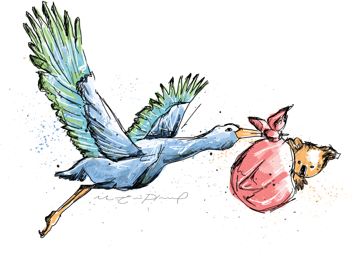 Notre Histoire - Logo (1225x1122), Png Download