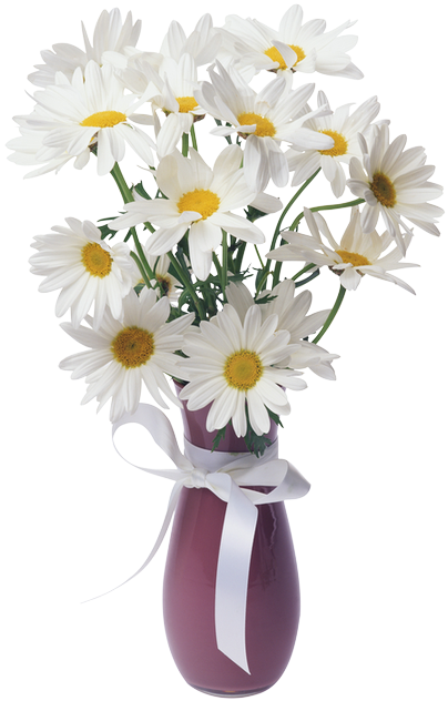 Flower Vase Png Transparent (450x663), Png Download