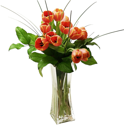 Tulips Arranged In A Vase - Png Orange Flower In Vase (480x480), Png Download