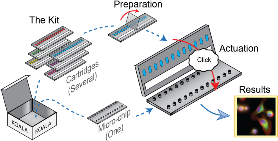 Koala Overview2-04 - Electronics (1000x478), Png Download