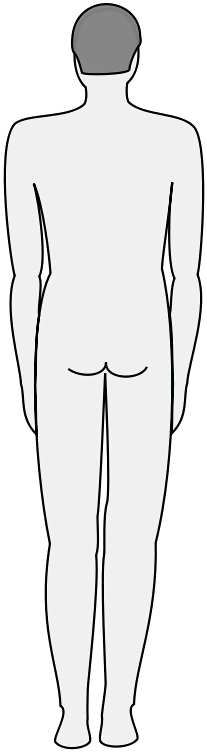 Figure Drawing (800x800), Png Download