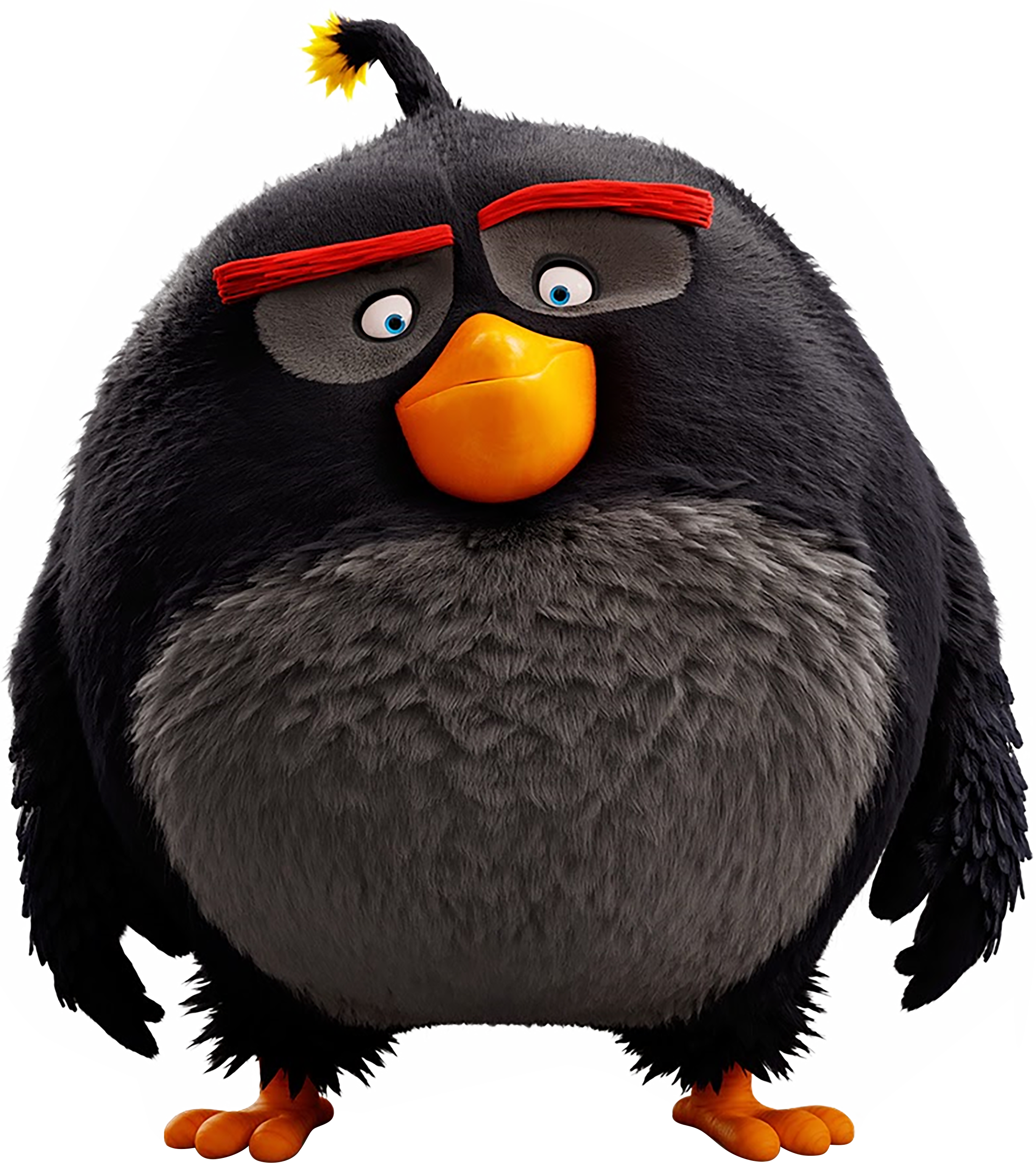 Download Angry Birds, Birds 2, Cartoon Birds, Cute Clipart, - Angry Birds  Movie Characters PNG Image with No Background 