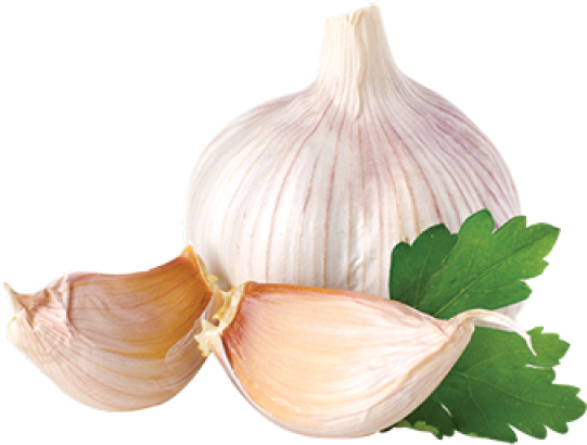Garlic Png - Garlic Onion Png (400x335), Png Download