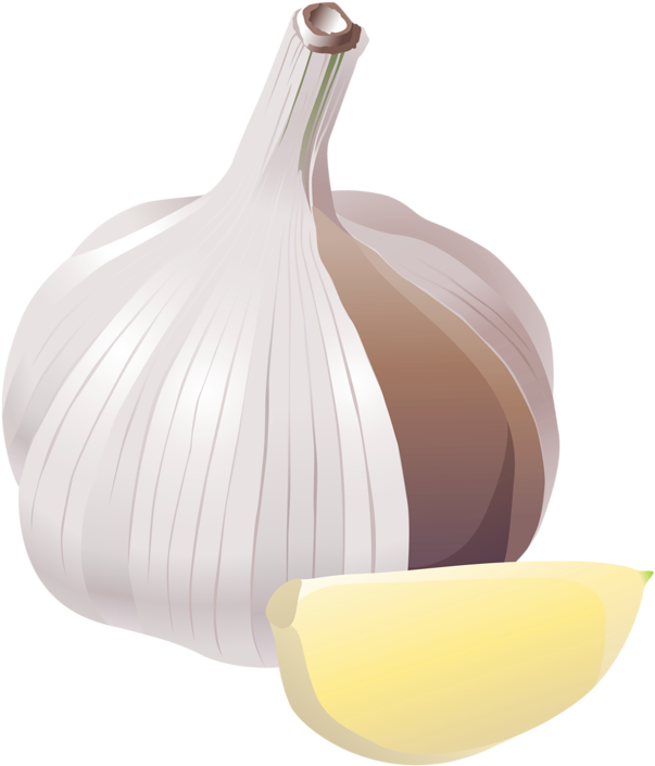 For Decoupage - Alho .png (680x800), Png Download