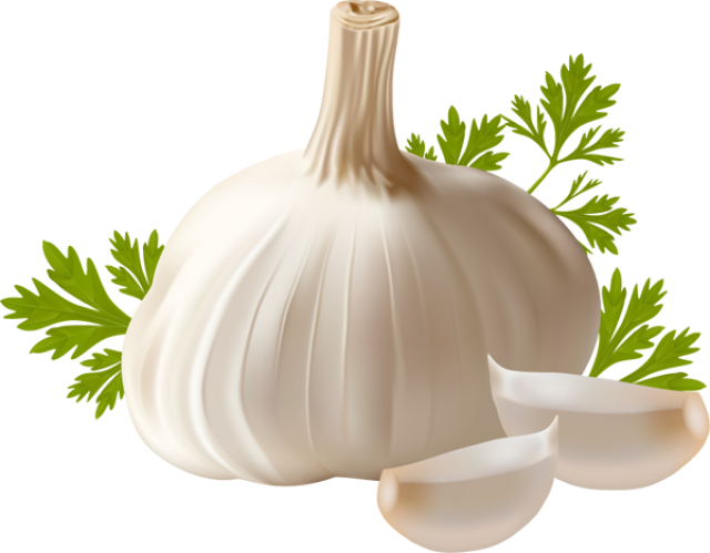 Garlic Png (640x499), Png Download