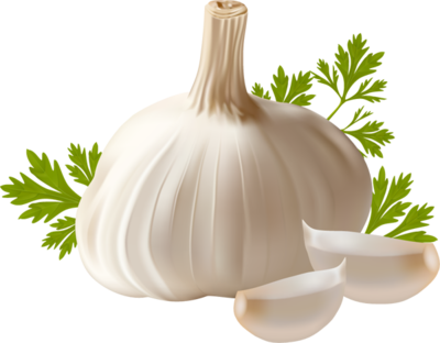 Garlic - Garlic Png (400x312), Png Download