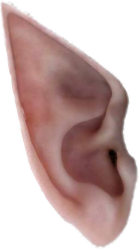 Ears Sticker By Oirishnicole - Elf Ear Png (486x868), Png Download