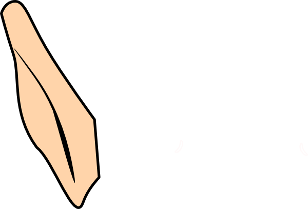 Single Elf Ear Clip Art - Elf Ear Clipart Png (600x407), Png Download