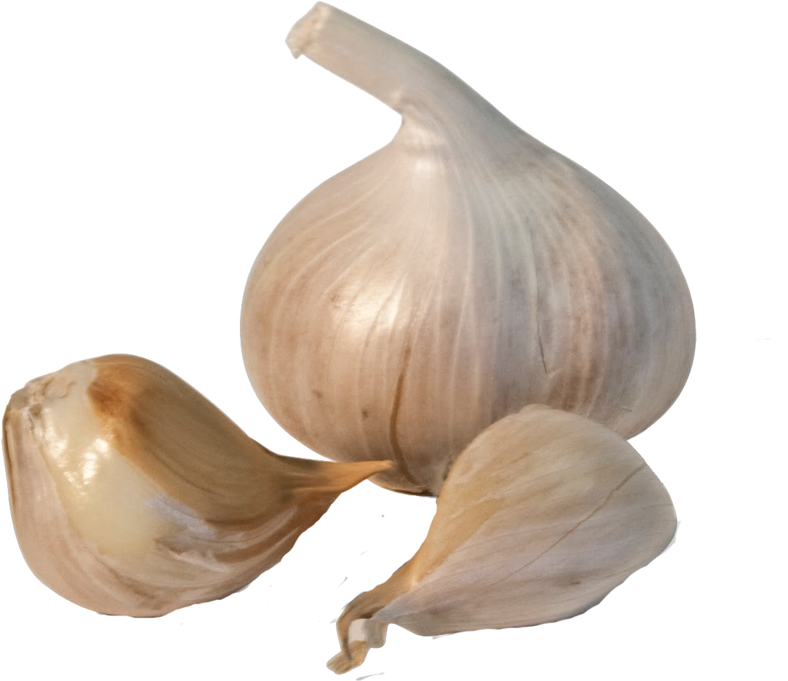 Garlic Png Transparent Image - Garlic Transparent (1156x964), Png Download