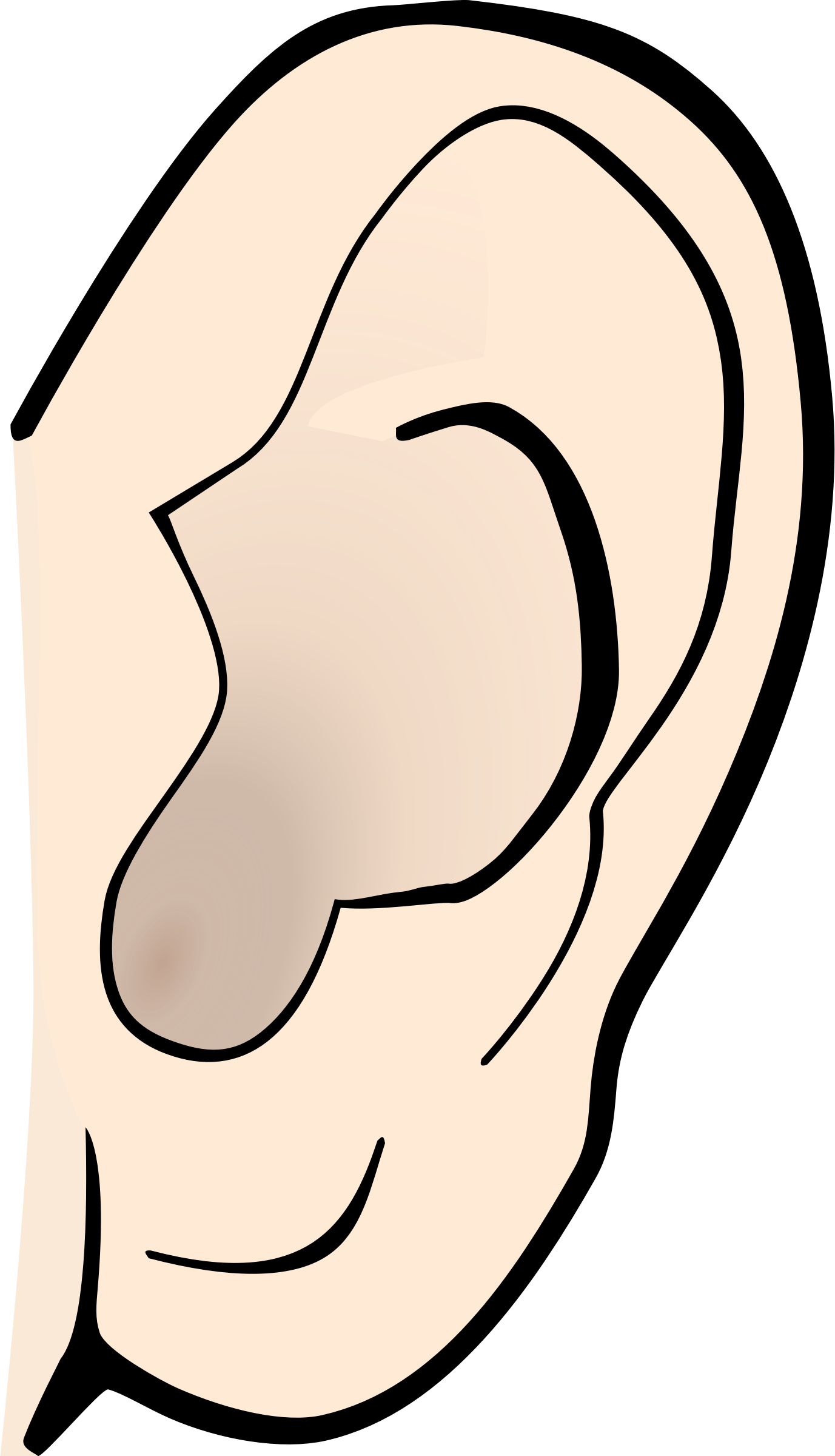 Ear Clip Pair - Ear Clipart (557x800), Png Download