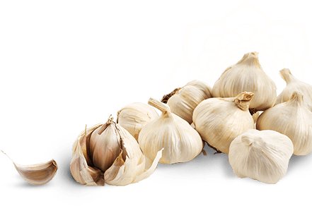 Garlic Png Clipart - Garlics Png (441x292), Png Download
