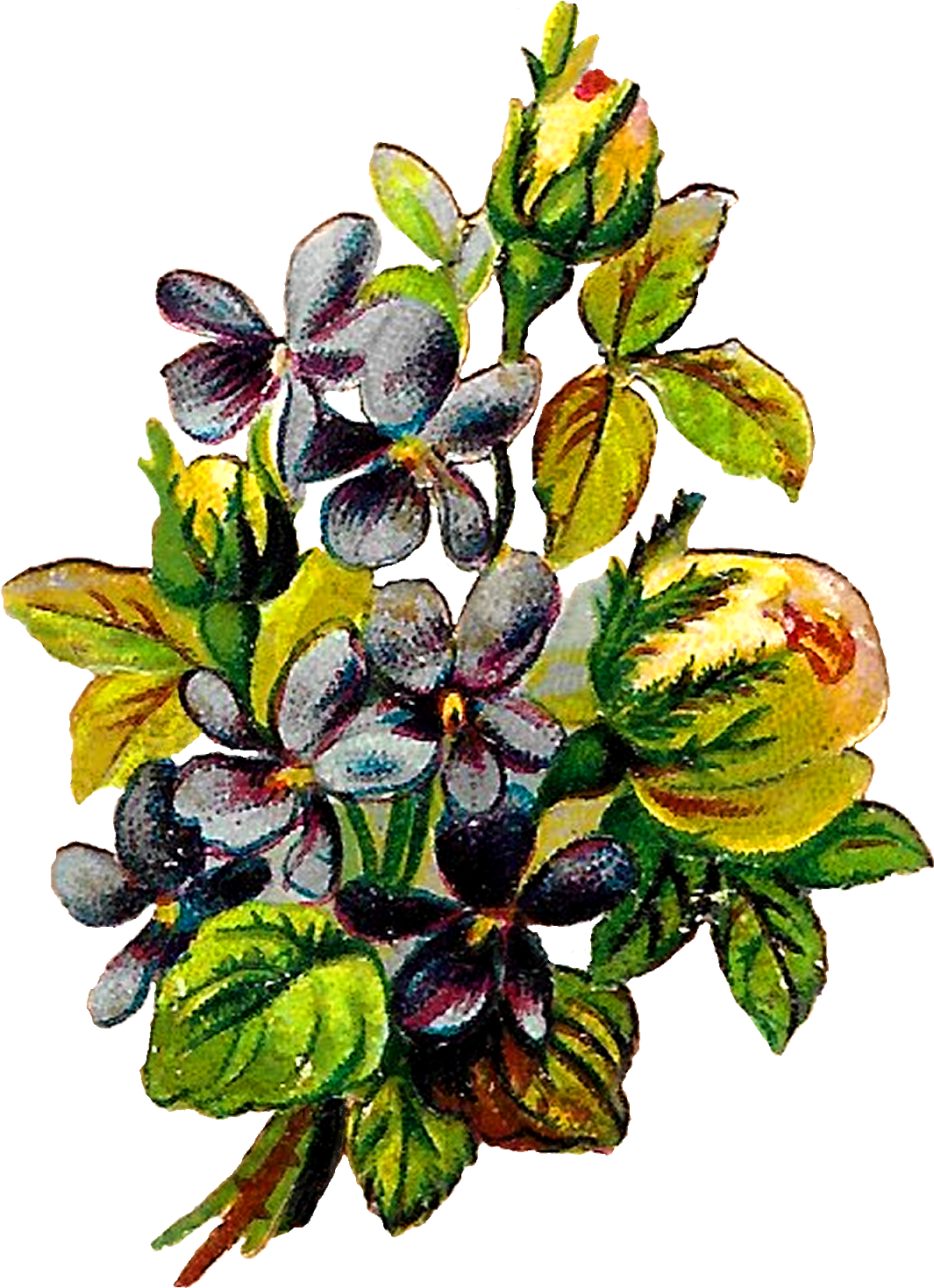 Digital Flower Clipart Download - Flower (1178x1600), Png Download