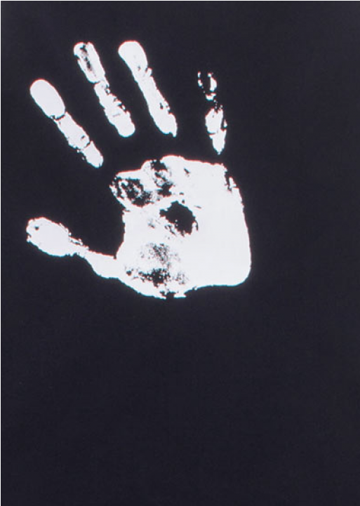 Nununu Hand Print Swim Suit - Nununu Rash Guard Hand Print, Black, 6/7 Jaar (960x720), Png Download