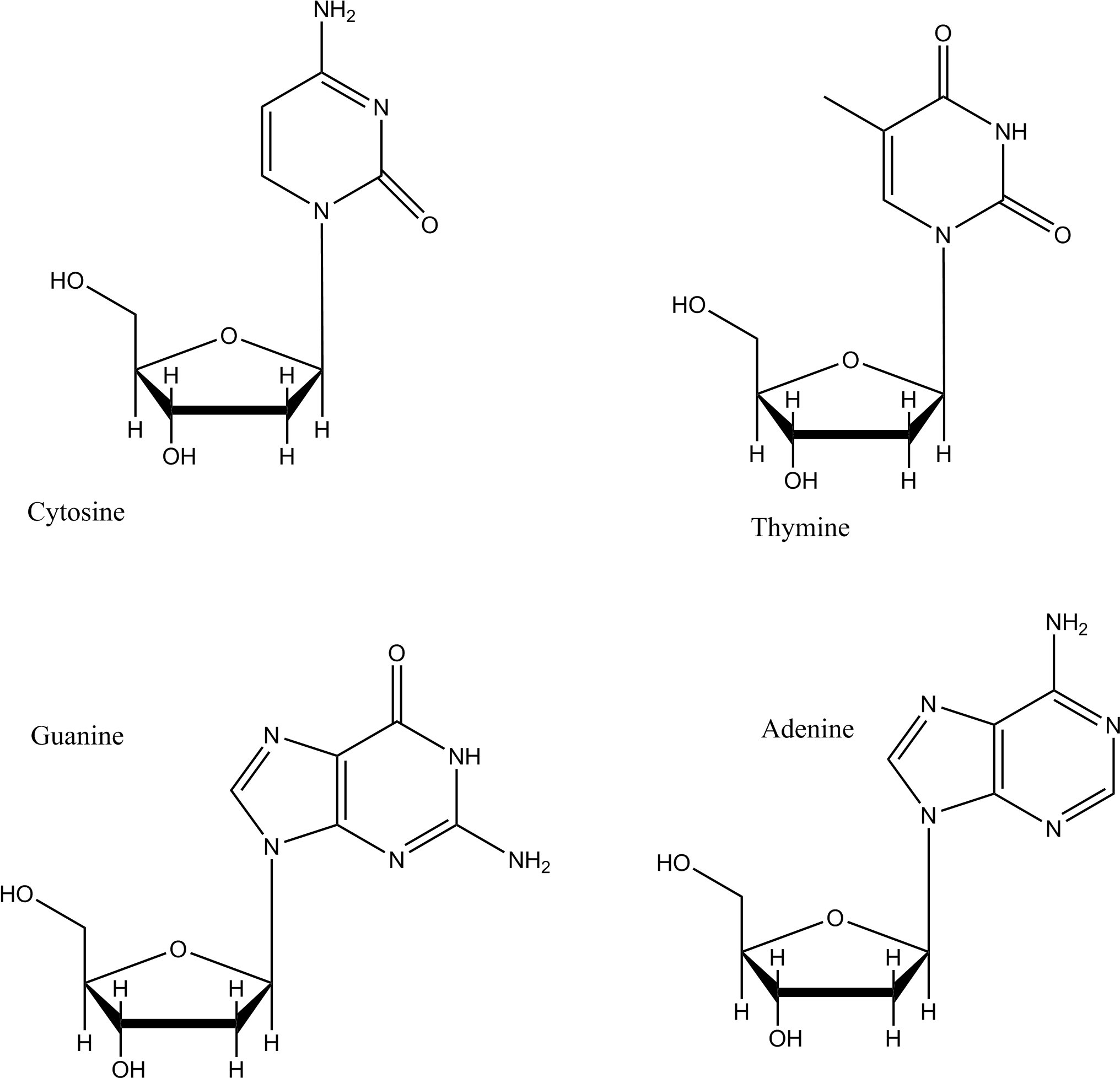 Dna Base Pairs - Nicotinamide Adenine Dinucleotide Phosphate (2053x1976), Png Download