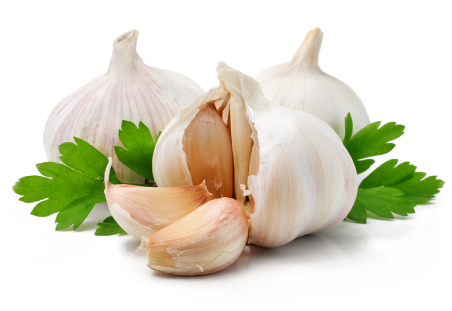 Garlic Extract Garlic Herbal Free Transparent PNG Download PNGkey