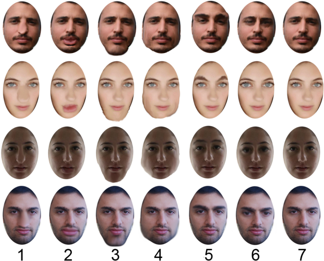 Identity Altering Face Prosthesis - Team (670x546), Png Download