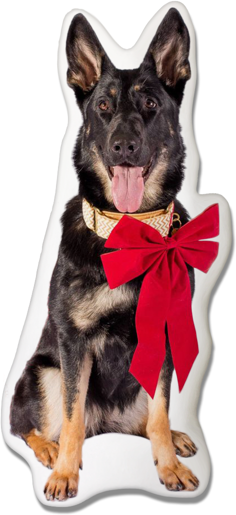 German Shepherd Christmas Pillow - Old German Shepherd Dog (1000x1061), Png Download