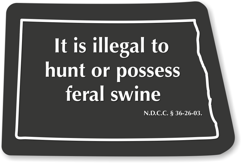Illegal To Possess Feral Swine North Dakota Novelty - Disco Ball (800x800), Png Download