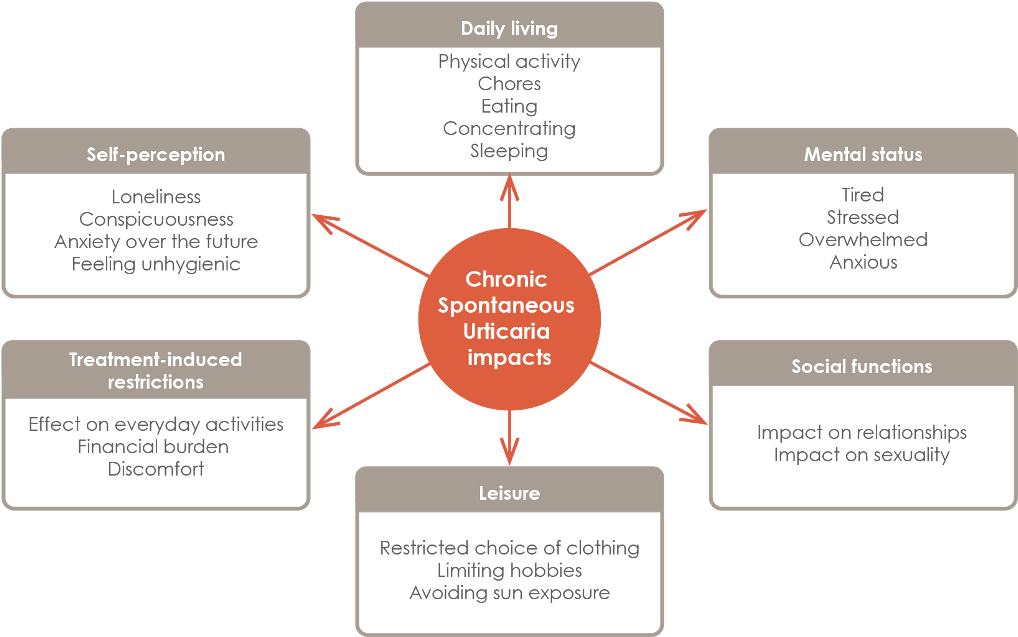 Chronic Spontaneous Urticaria Impacts On Quality Of - Effects Of Cortisol (1030x652), Png Download