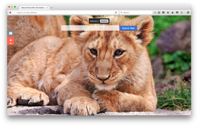 Baby Animals Gallery New Tabby Brand Thunder, Llc - Рыжий Львенок (700x445), Png Download