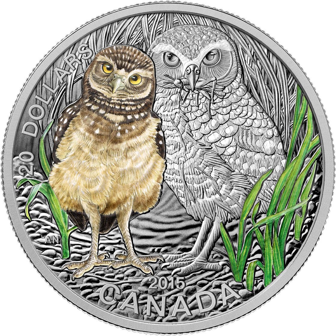 Canada 2015 Baby Animals Burrowing Owl Proof Silver - Animals Coins (1198x1166), Png Download