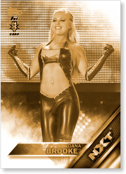 Gallery - Wwe Nxt (700x700), Png Download