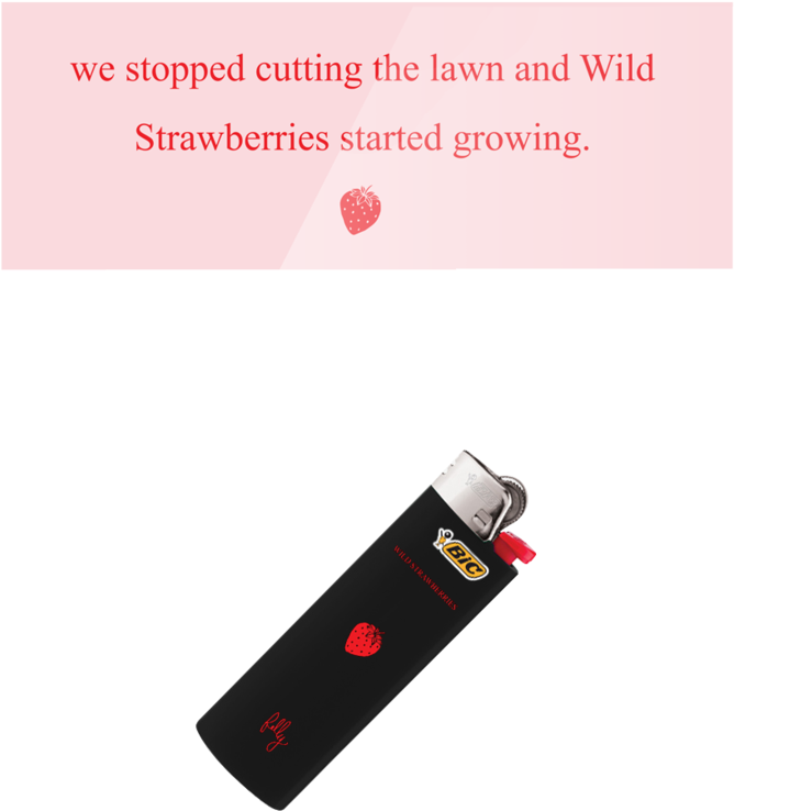 Usb Flash Drive (819x1024), Png Download