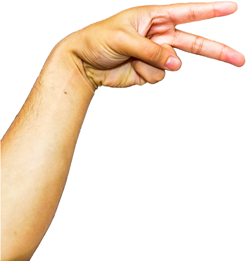 Hands,fingers,arm,png - Braço Png (500x666), Png Download