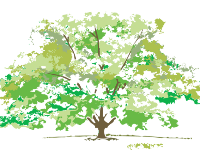 Clip Art Four Four Seasons Images Free (640x480), Png Download