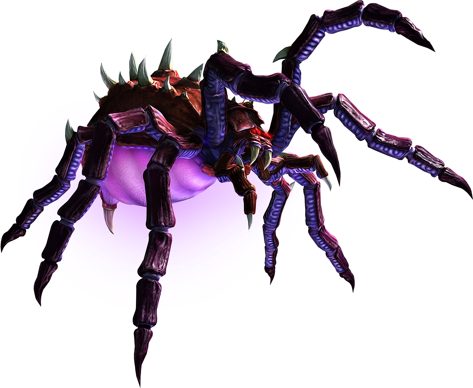 Spider Png Picture - Macro Photography (1600x1600), Png Download