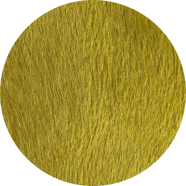 Circle (600x600), Png Download