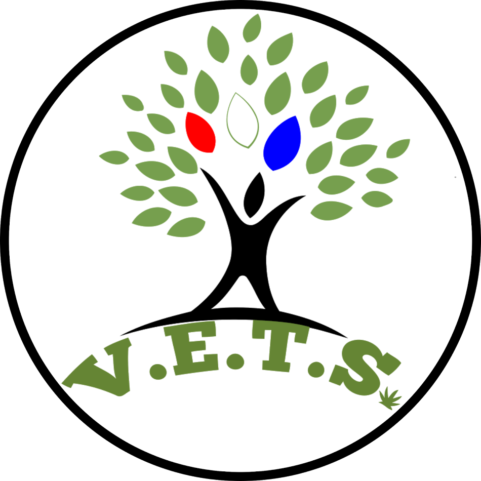 Vets Circle Logo - End The Stigma Veterans (950x950), Png Download